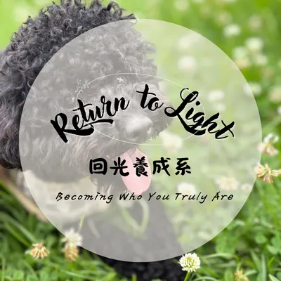 書書的棉花園｜ 回光養成系