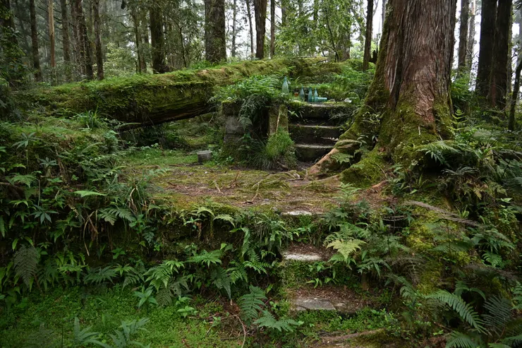 加羅神社主祭台