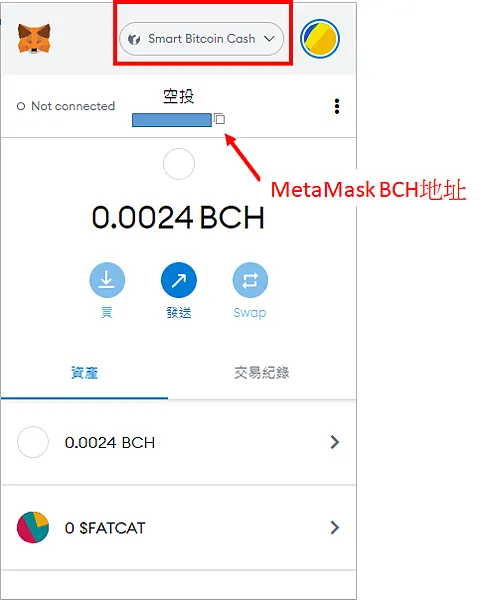 Metamask|使用BCH到BenSWAP質押挖礦 經Metamasak/CoinFLEX