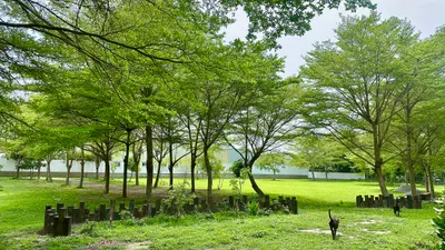 方舟莊園 ARK Manor｜城市裡戶外婚禮秘境