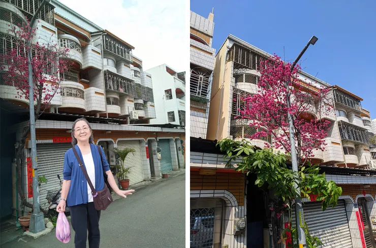 去年今日此門中， 人面櫻花相映紅； 人面不知何處去， 櫻花依舊笑春風。