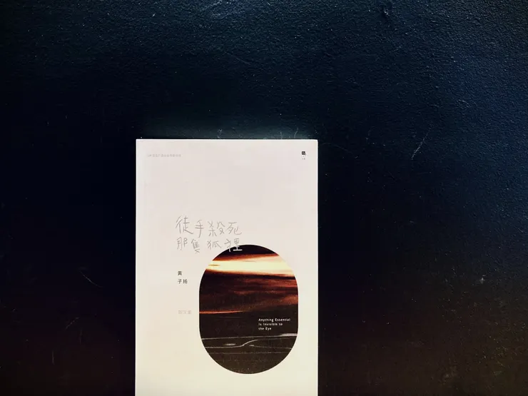 《徒手殺死那隻狐狸》黃子揚，有人出版，2022。