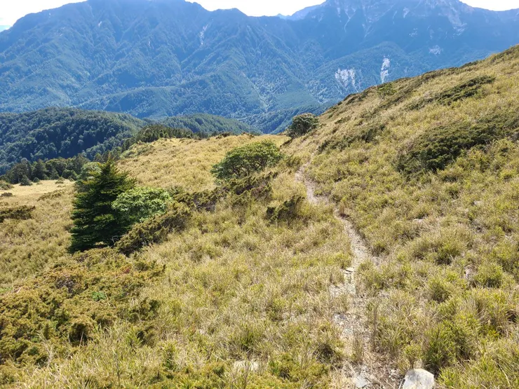 前段剛開始路跡超明顯