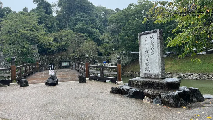 即使下雨天,能仍感受到它的美麗。