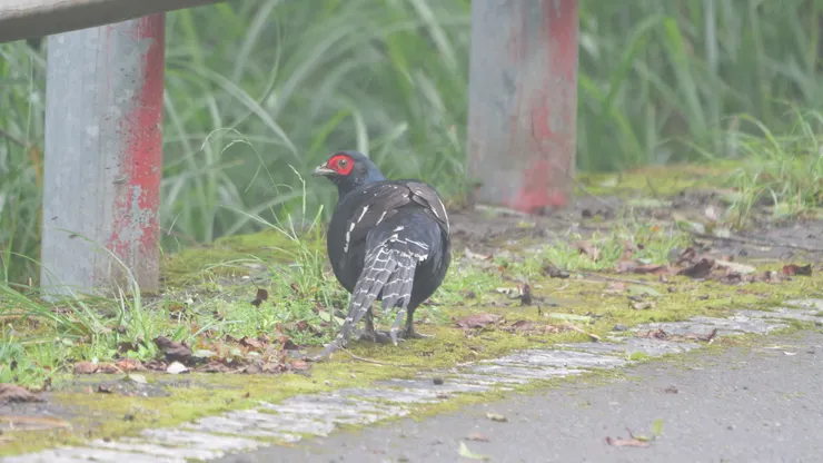 “嗯，有人在背後說我是大屁屁嗎？“