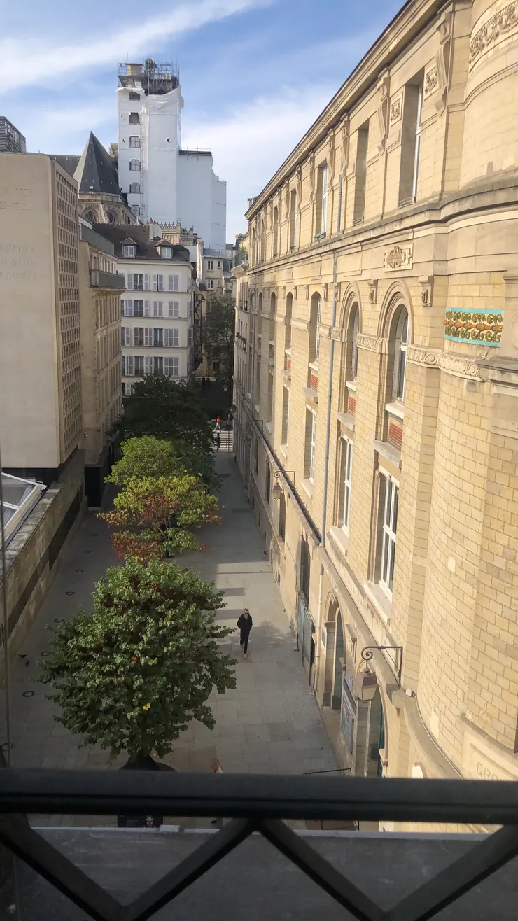 秋天巴黎住處看出去的樣子,配上教堂的鐘聲,我既清楚又迷惘,既滿足又害怕。或許這樣的拉扯是再進化的路上必經的過程。