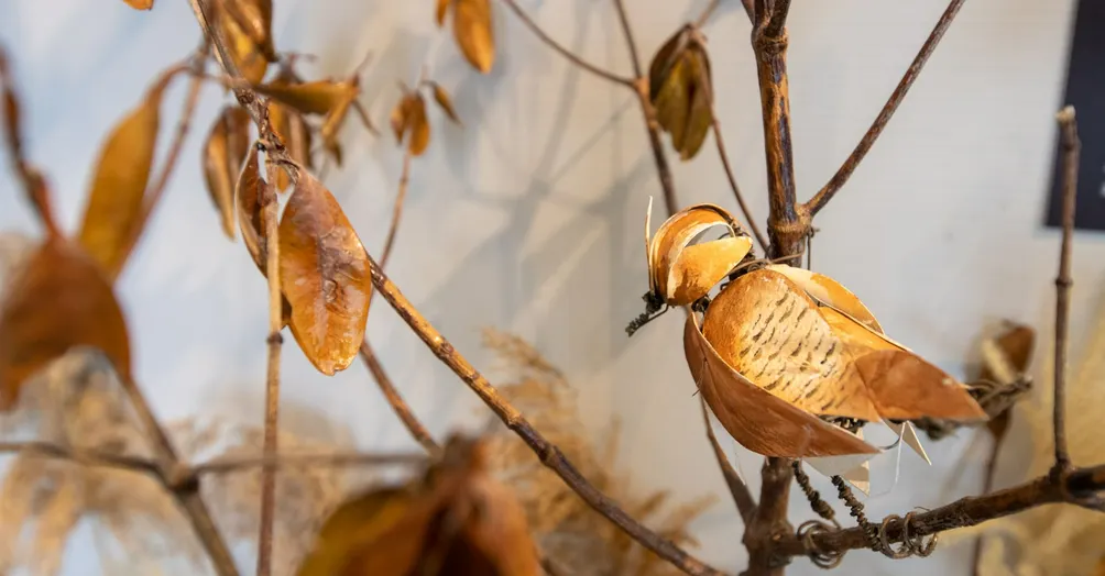 素昧平生的沙龍