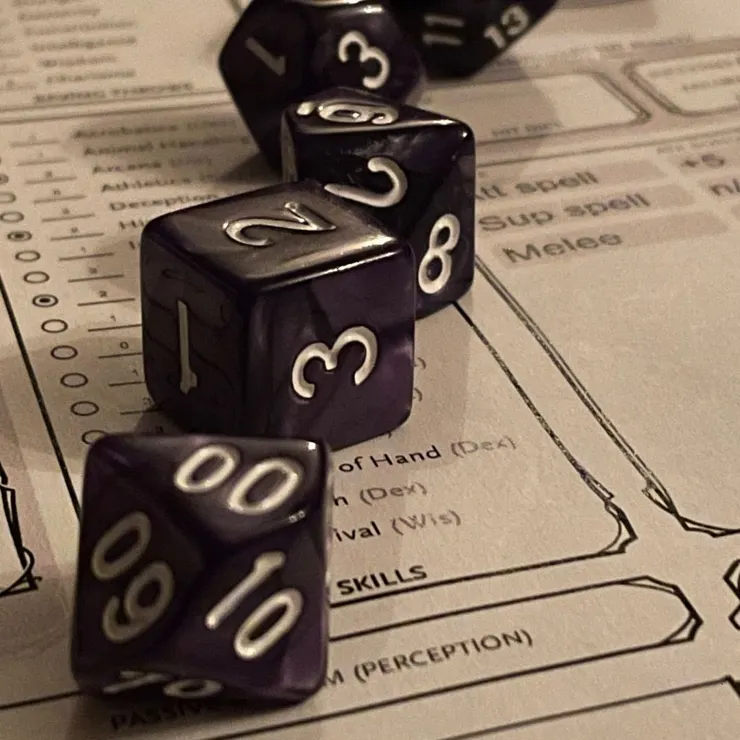 其之一位成員設計了D&D讓我們探索他創造的奇幻世界。