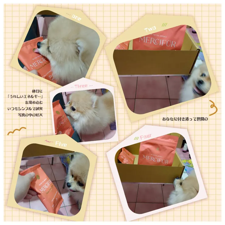 布咘 & 恩點寵糧開香聞