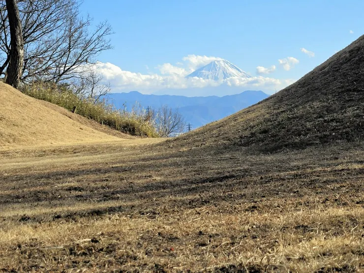 從新府城跡遙望富士山。