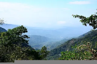可惜霧氣還是有點重！