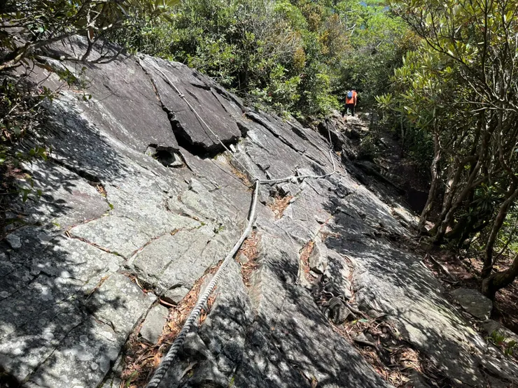 鳶嘴山下坡路段
