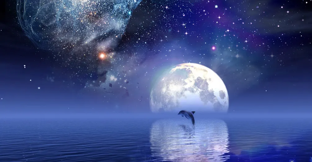 紀枝瑤的日記區~~~