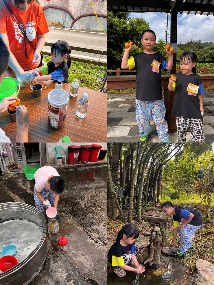 雙寶老爹006208定期定額記錄，2024年11月