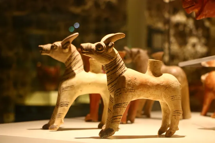 Anadolu Medeniyetleri Müzesi,攝影於Ankara