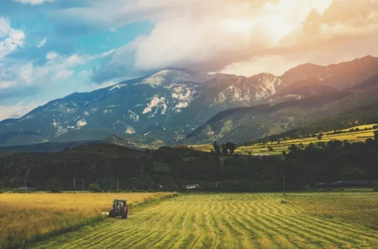 道路用地.道路用地收購.道路用地買賣