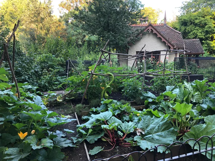 Duck Island Cottage目前是Superintendent官邸