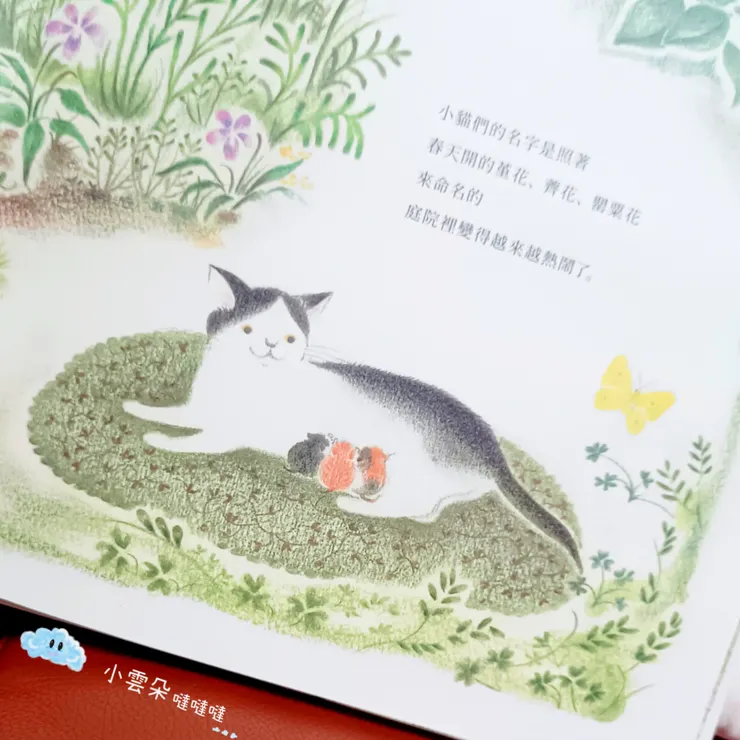 安咪當媽媽了！