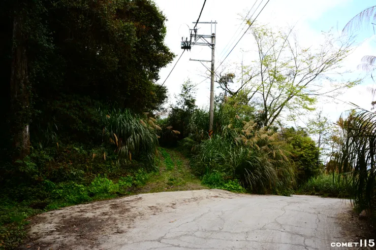 垃圾場後方舊公路(往前)與工程便道(往右)分歧點
