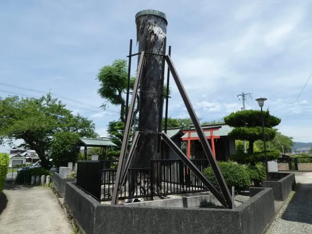 松下幸之助出生於和歌山，其家附近有棵百年松樹，故此家族姓氏取名為松下。現在這棵松樹以遭雷擊，只剩下枝幹佇立於家鄉地。