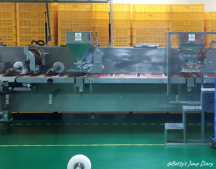 ▲桃園龍潭「手信霧隱城」/圖片來源:Betty's Jump Diary