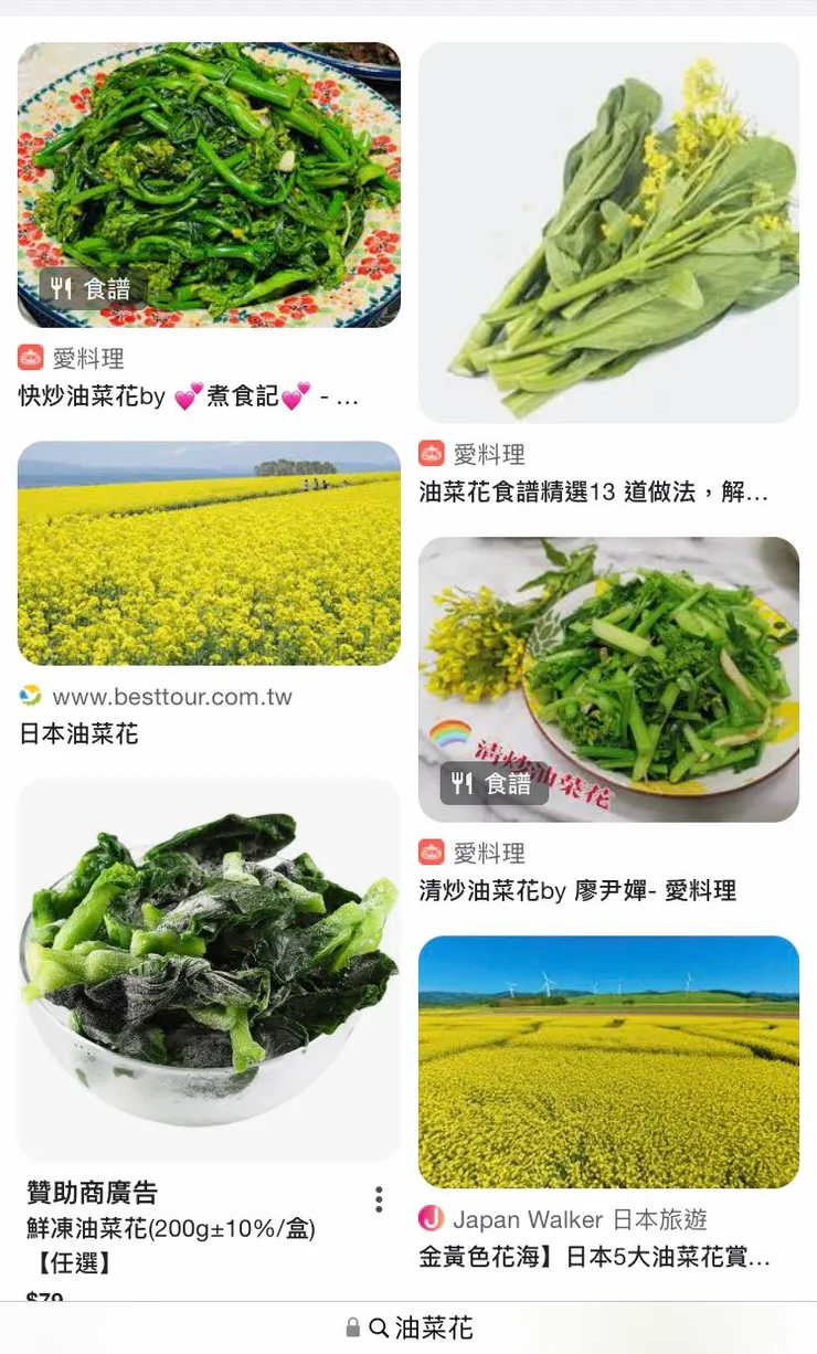 給大家看一下油菜花，其實滿美的