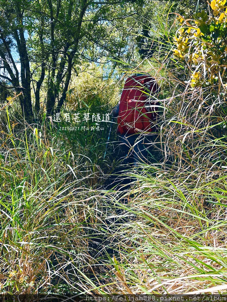 【閂山鈴鳴.挑戰兩日走50公里】王小明民宿/730林道/ 海