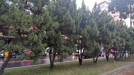 [新北旅遊]崑崙公園、民生親子公園，橫跨樹林與板橋二個行政區