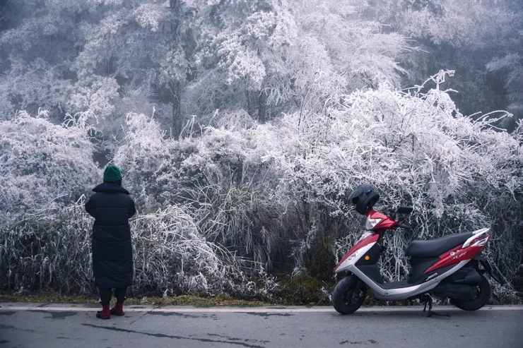 騎著小小速可達上山追雪也是不容易。