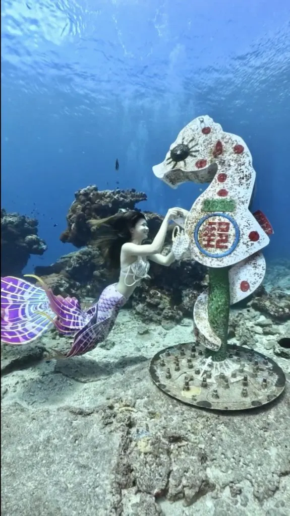 鄭婷怡Ty發起的「來自海底的一封信」，至今已持續兩年並在社群上突破20萬觀看。（圖／鄭婷怡Ty提供）