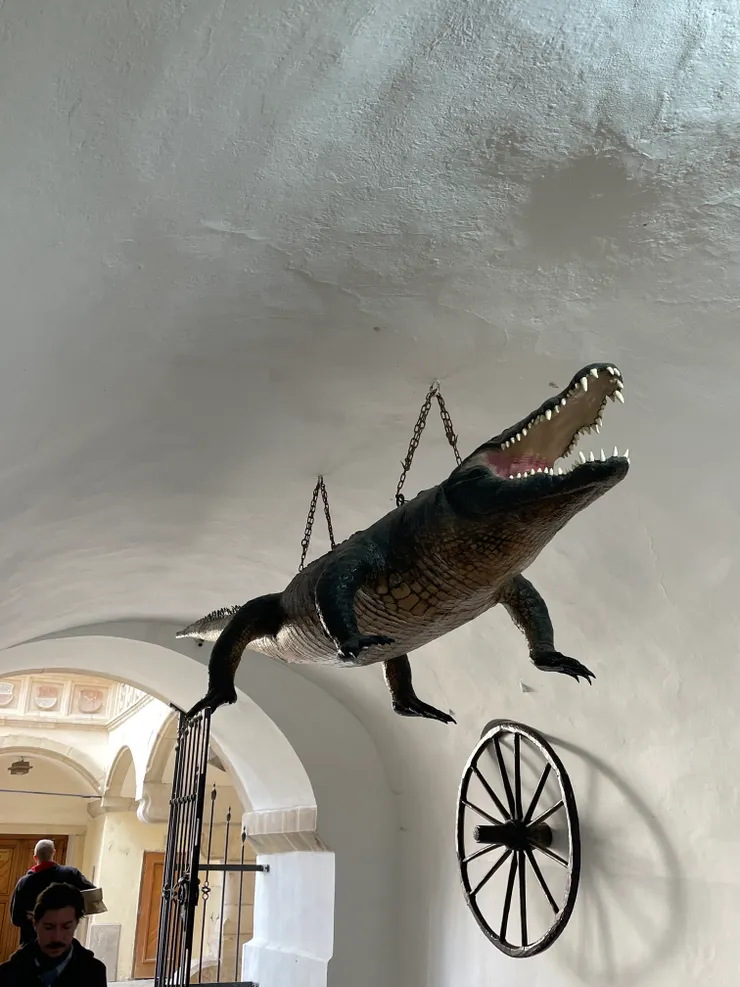 平日的布爾諾龍和後面的大輪子