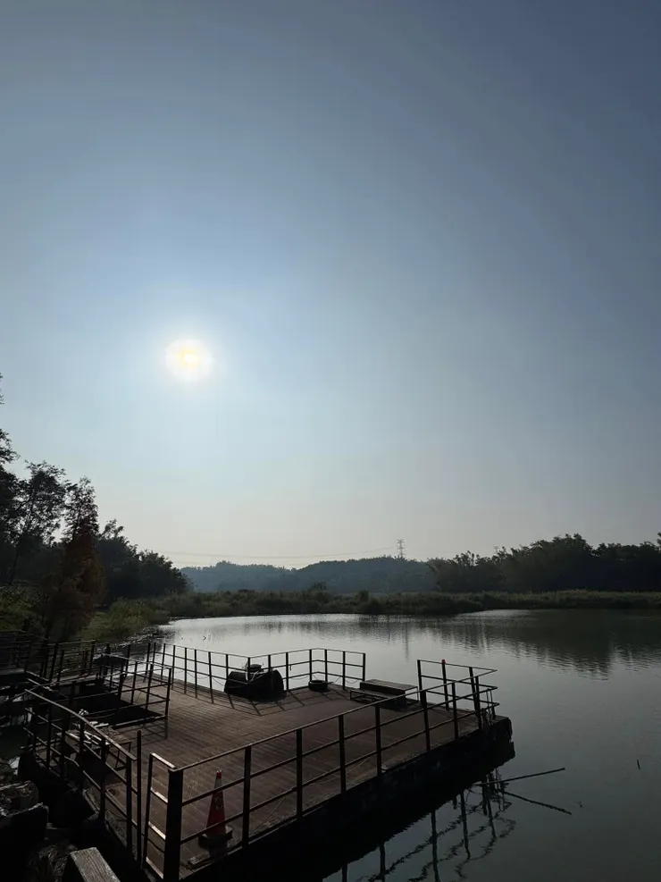 一天比一天綻放陽光的好日子☀️
