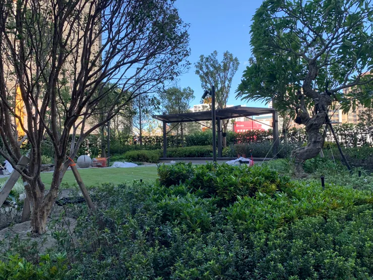 社區自己的小花園。