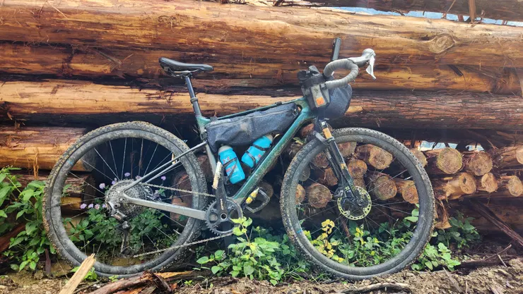 2024年十月，攝於人倫苗圃