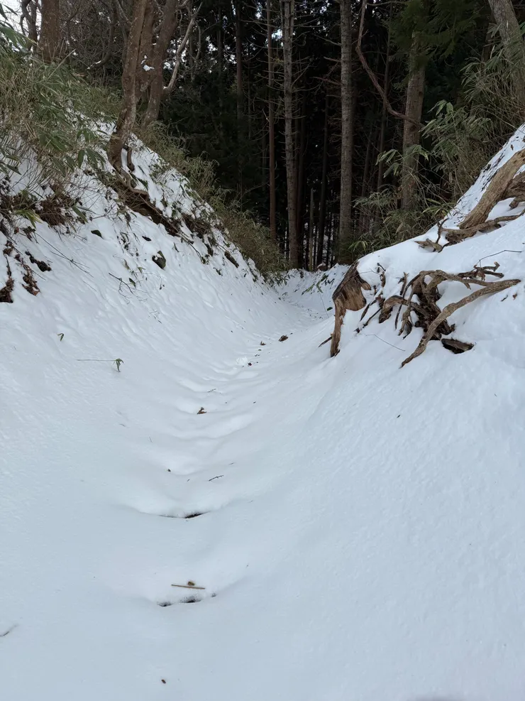 向上ノ國八幡宮方向下山,呃…起碼你辨認這是一條道路。