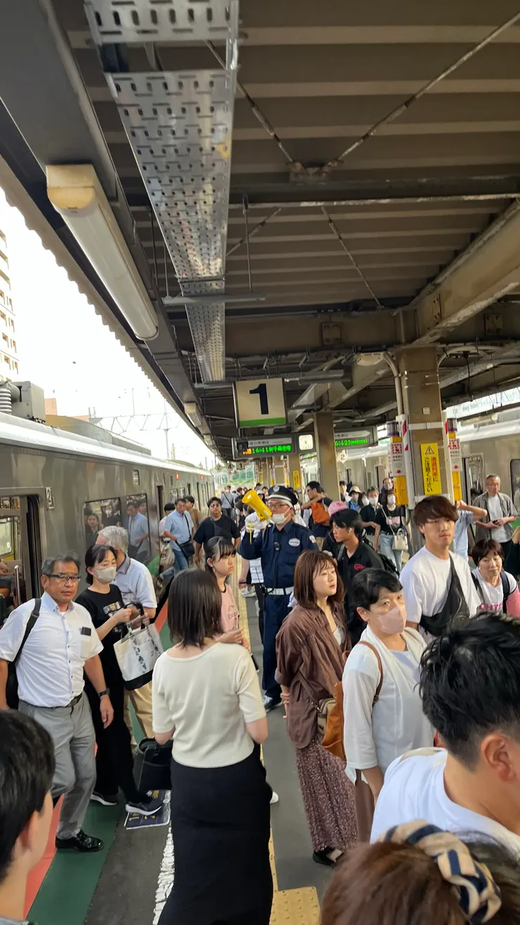 下車我想大部分都是球迷吧。