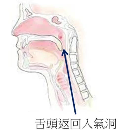 打坐姿勢-靜坐姿勢-禪坐姿勢-冥想-正念-打坐-靜坐