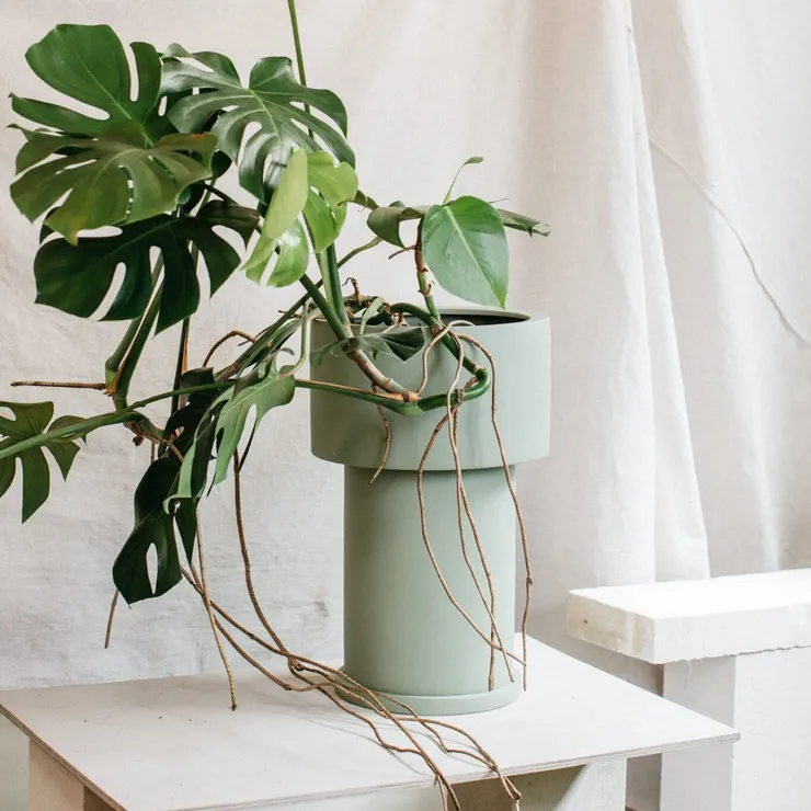 *pic source via internet