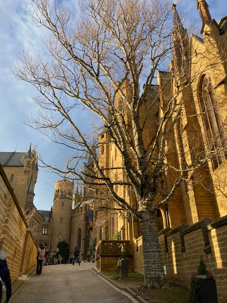 通往城堡的主要上坡段