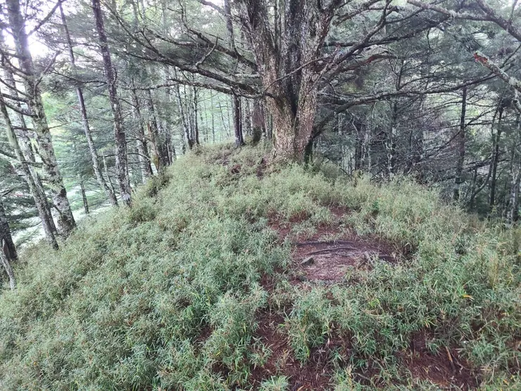 上稜線，其實就是2號谷對面的那條稜