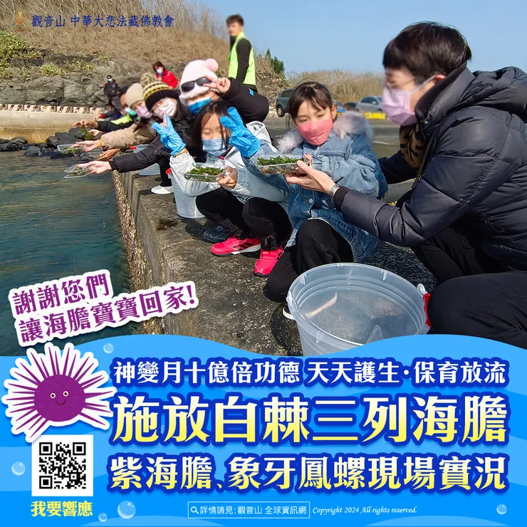 觀音山 神變月十億倍功德 天天護生‧保育放流 施放白棘三列海膽、紫海膽、象牙鳳螺現場實況