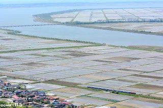 初夏的插秧時節，後面是八郎潟