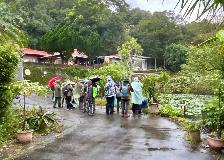 圖04 常見的紅冠水雞、翠鳥沒有缺席