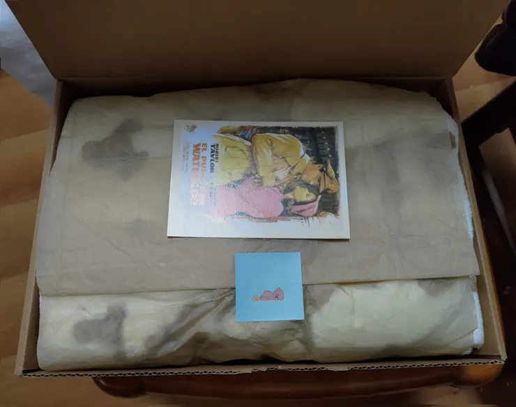 來自朋友贈送的軟綿綿睡衣（對方也有一套），每次穿上便讓筆者在寒冷的冬日湧上溫暖的感受～