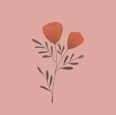 月亮知道拾六在冥想