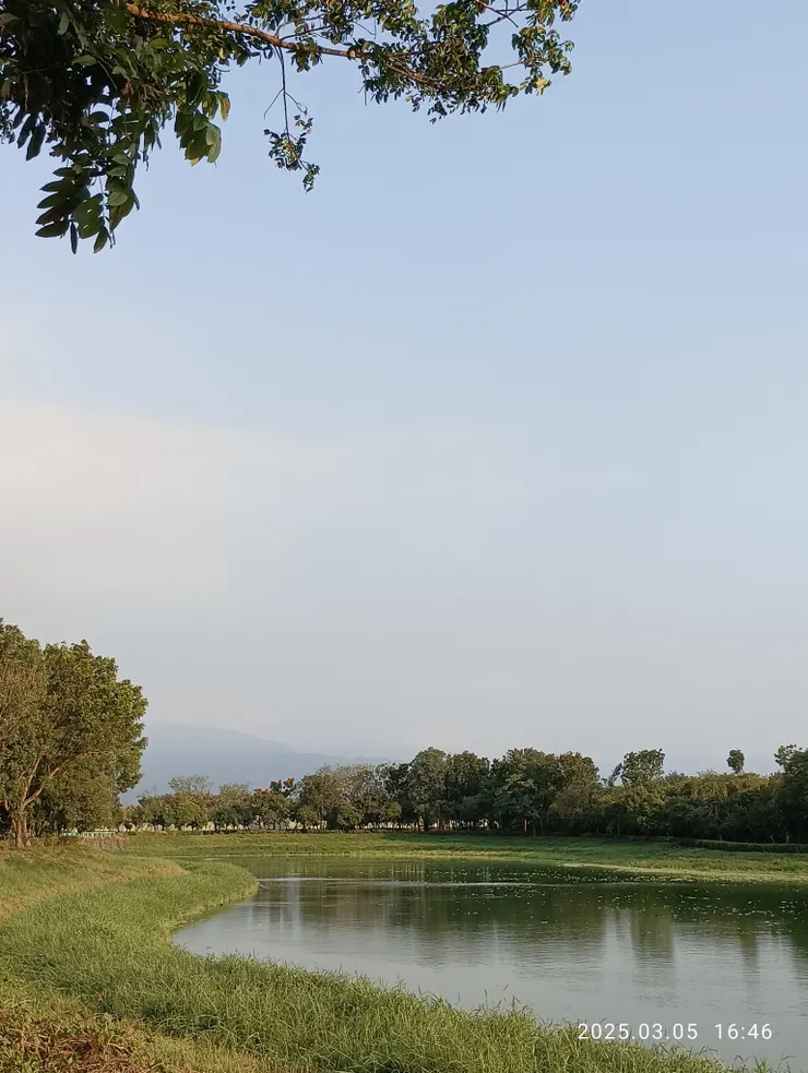 天淡雲閑草連空