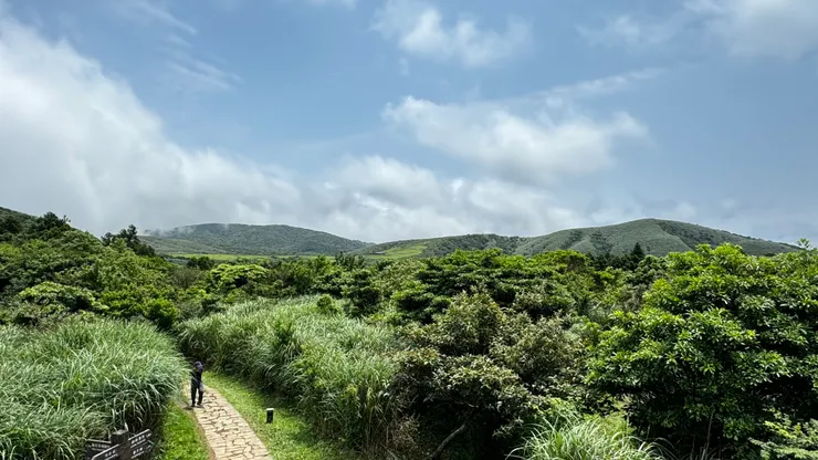 拍攝於2024年5月4日，陽明山 竹子湖