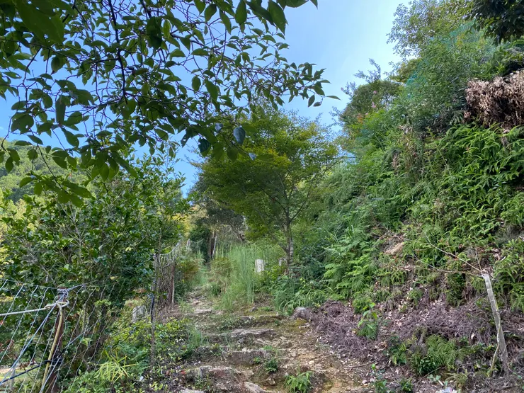 走去小口自然之家的路上，沒想到又要再爬一個小丘（累歪歪）