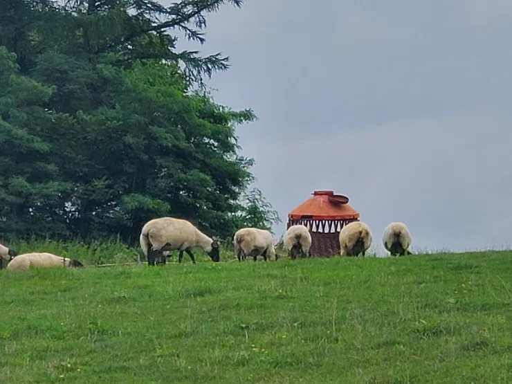好開心，什麼都看到了