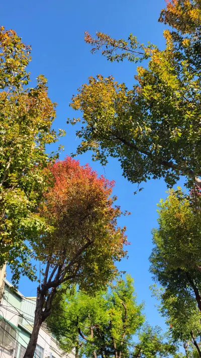 富足-在努力的路上，學會看見已經擁有的